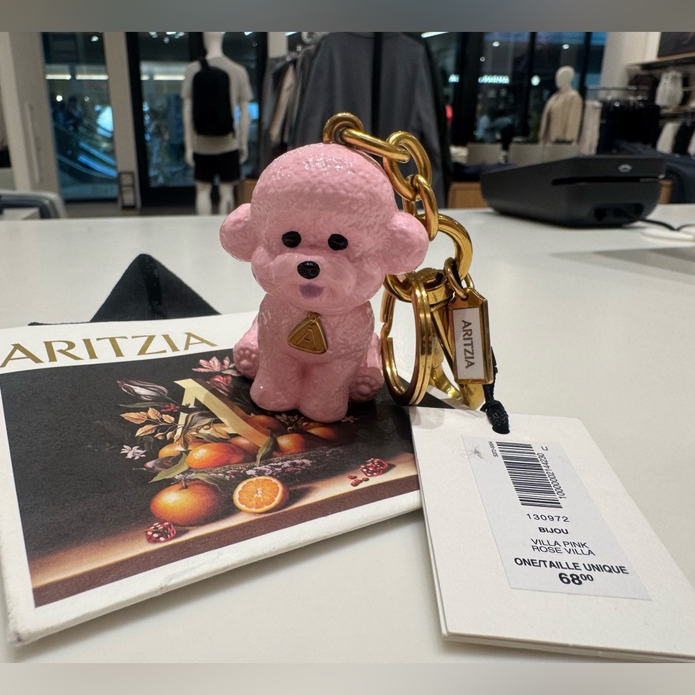 Aritzia keychain NWT